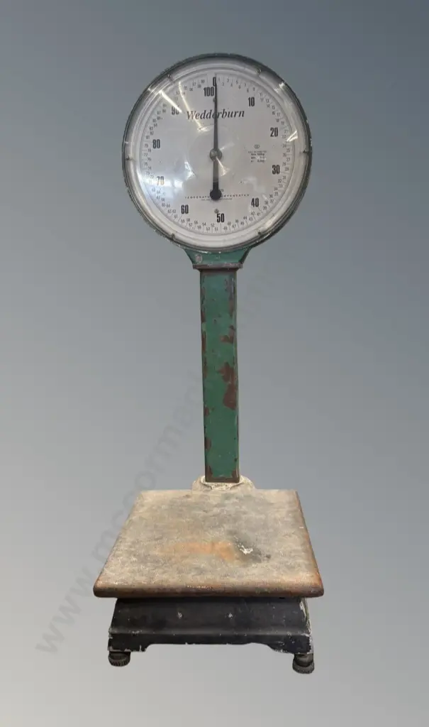 Wedderburn Commercial Scales H100cm Image 1++
