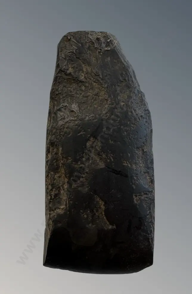 Argillite Adze 11cm Image 1++