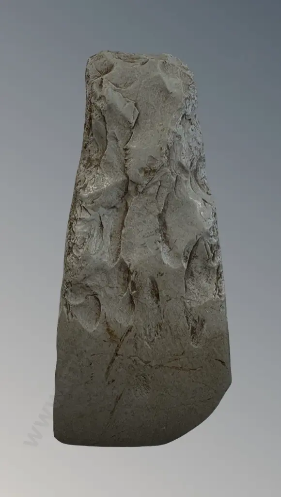 Argillite Adze 15cm Image 1++
