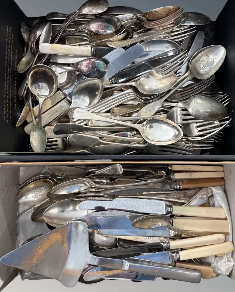 Two Boxes of Assorted Cutlery - Bone Handled Knives, Forks, Serving Spoons etc Image 1++
