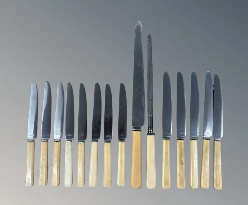 Bone Handled Knives - 5x Dinner, 8x Cheese, Carving Knife and Sharpener  Image 1++