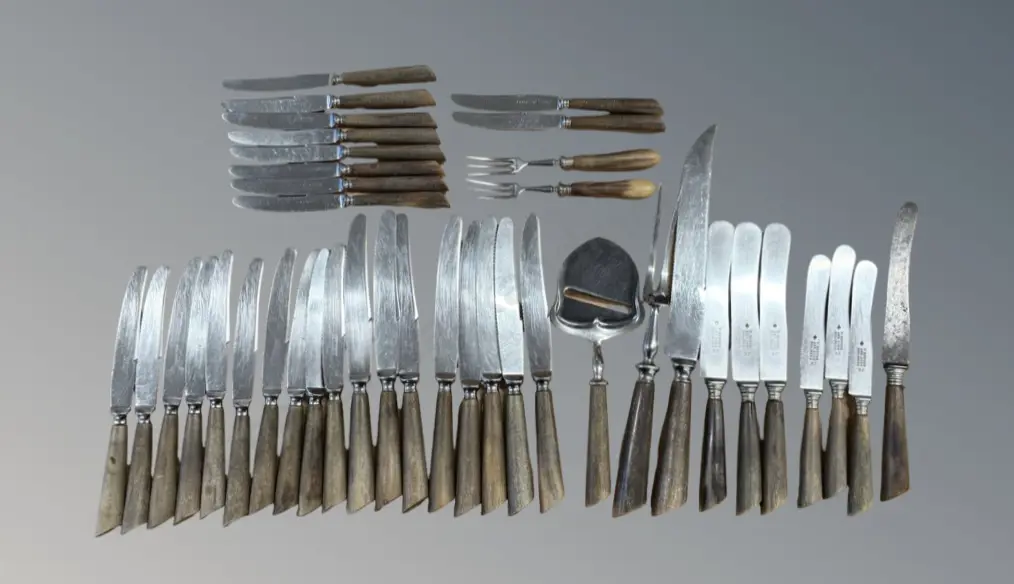 F Herder ABR Sohn Solingen & Gero Horn Handled Knives, Meat Fork, Carving Knife, Cheese Slice, Pickle Forks Image 1++