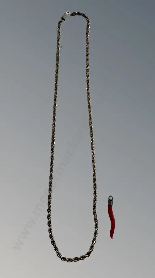 Coral Pendant L3cm and Gold Plated Chain L43cm AF Image 1++