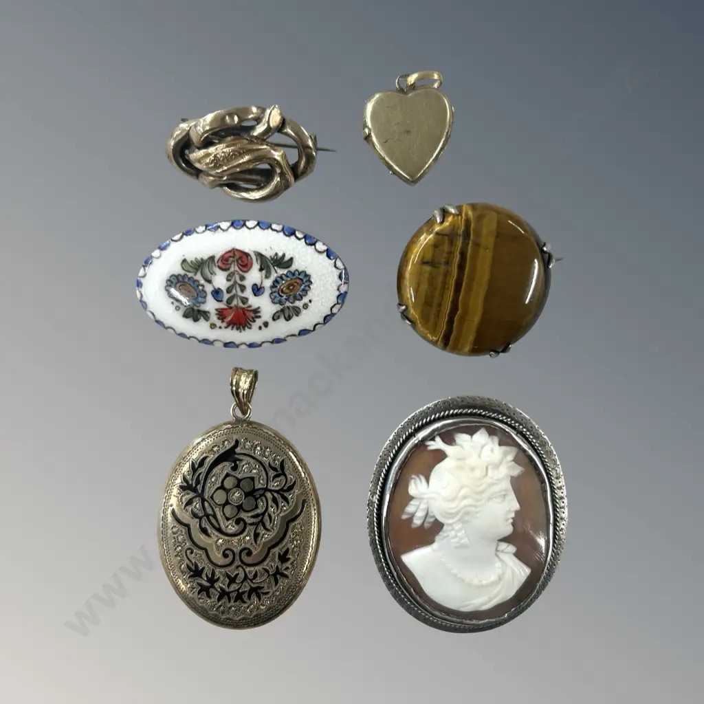 Collection of Brooches and Pendants - Two Lockets, Floral Enamel Brooch, Cameo, Tigers Eye & Gold Over Silver Brooch Image 1++