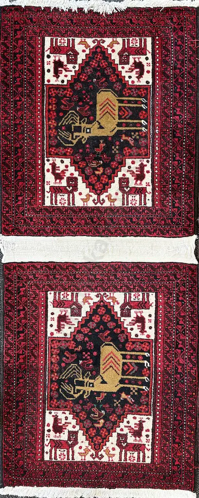 Persian Camel Cover, 185x73cm Image 1++