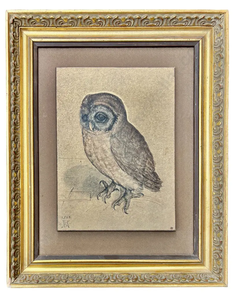 Albrecht Durer - Little Owl, WOP, 195x140mm Image 1++
