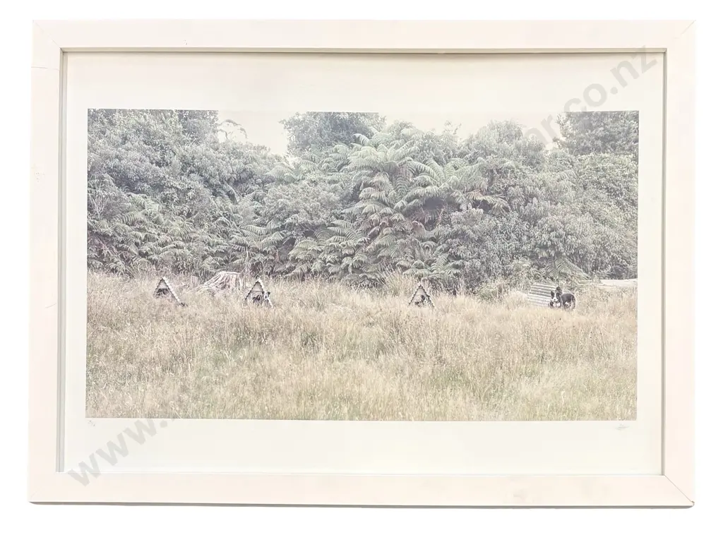 Dan Max - Farm Dogs, edition 3/7 photographic print on paper, 580x830mm Image 1++