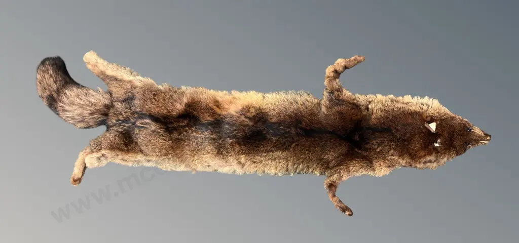 Mink Fur Stole, L100cm Image 1++