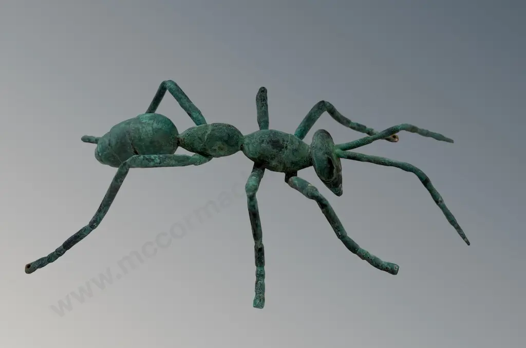 Copper Ant, L24cm Image 1++