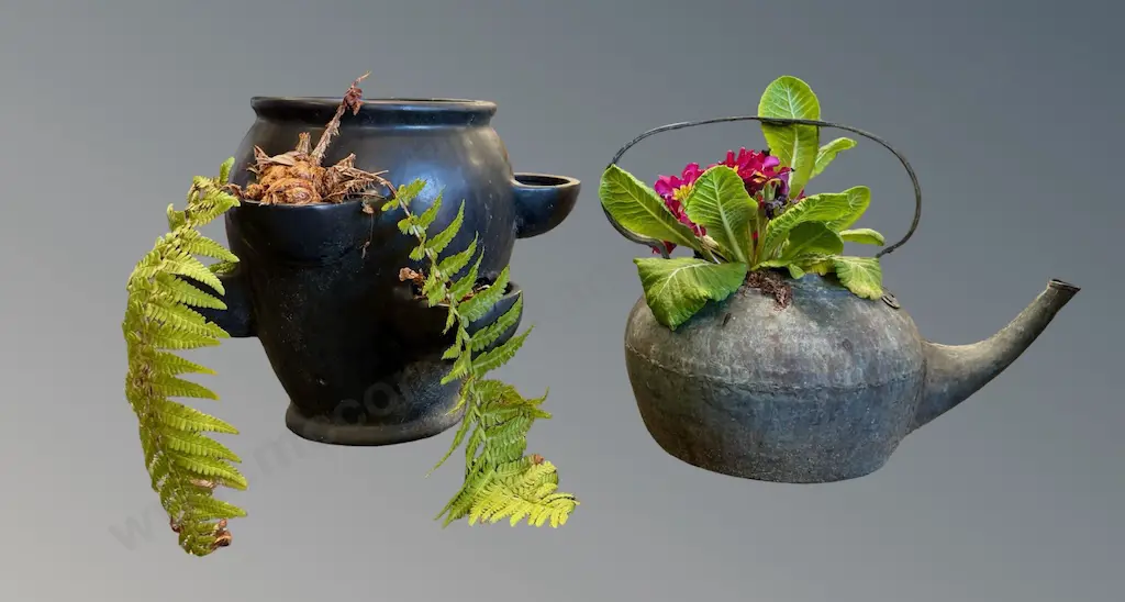 Copper Kettle with Polyanthus and Strawberry Planter with Fern, H29cm Image 1++
