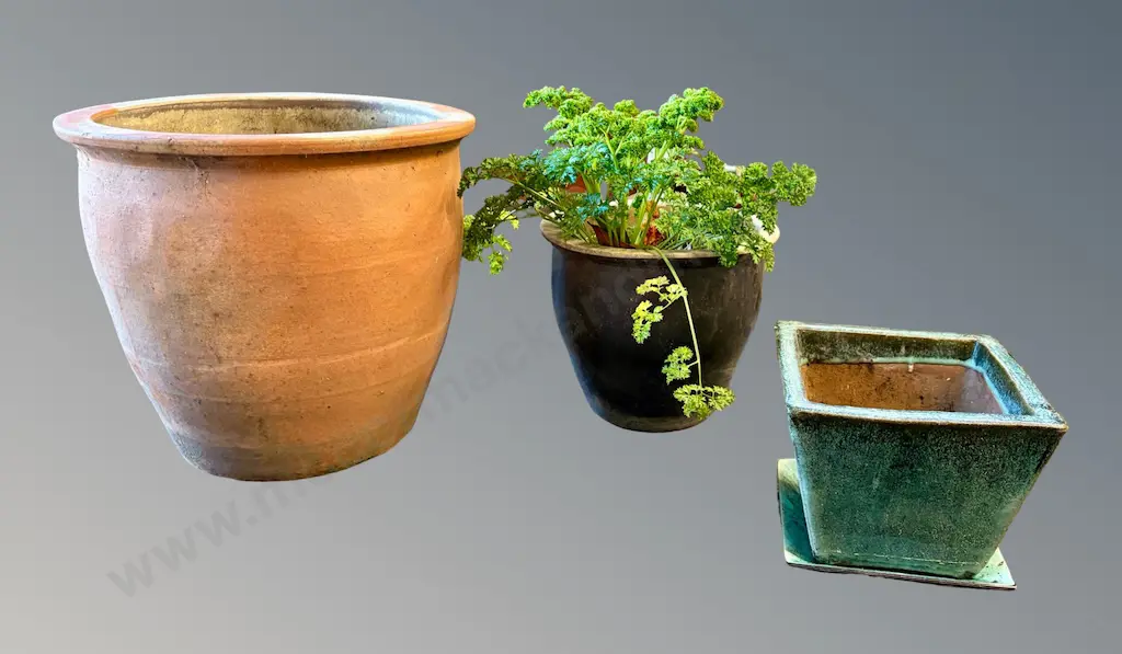 Parsley and Three Planters H19-40cm Image 1++