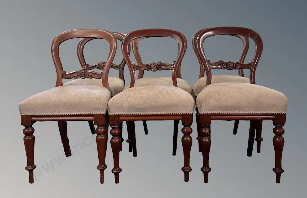 Set of 8 Mahogany Balloon Backed Upholstered Dining Chairs  Image 1++