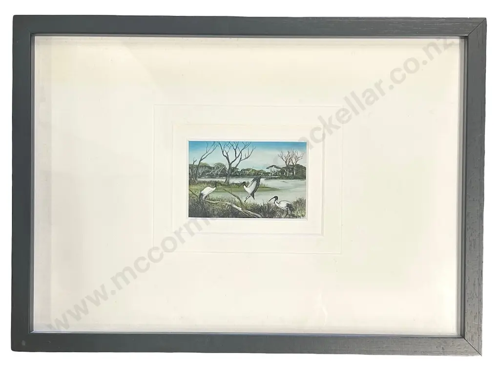 Robert Taylor - Ibis, Billabong Birds, oil on board, 45x75mm Image 1++