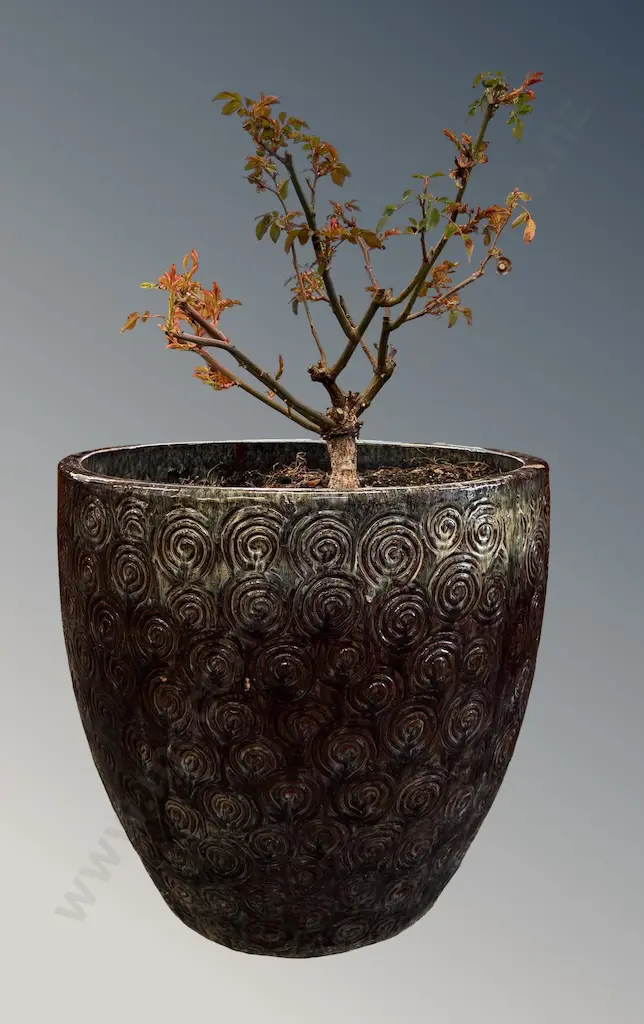 Large Glazed Ceramic Planter with embossed Swirl Pattern, H52xDia56cm (chip on rim) Image 1++