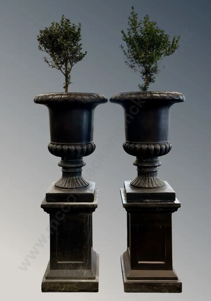 Pair of Black Fluted Urn Planters on Plinths with Buxus, H70cm Image 1++