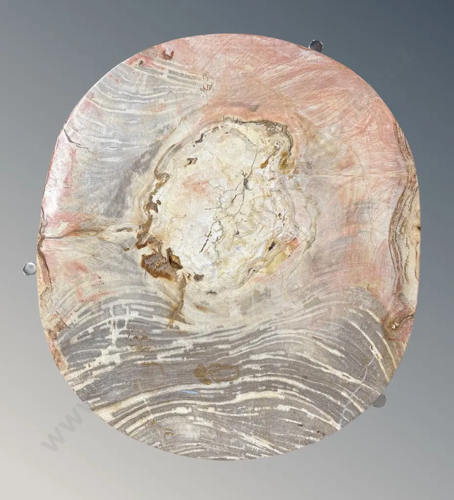 Polished Petrified Wood Side Table with Polished Metal Legs, H60xL46cm Image 1++
