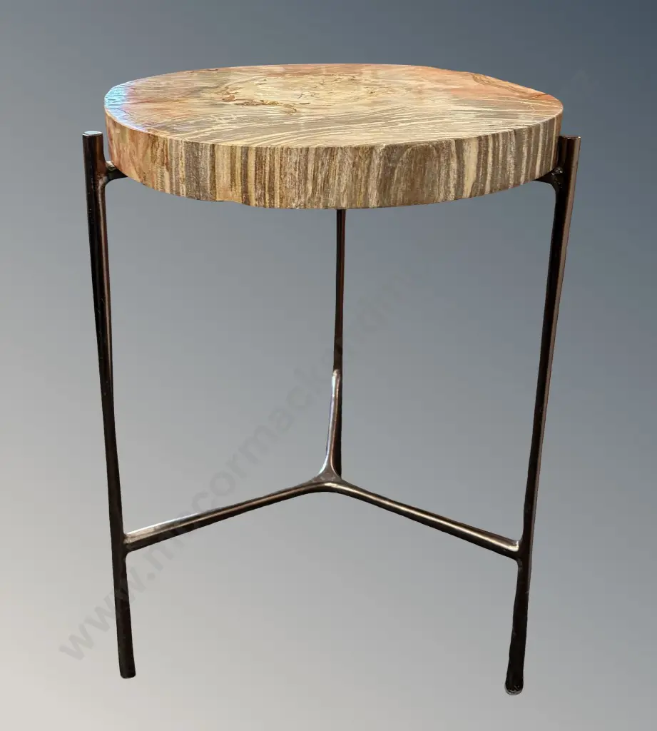 Polished Petrified Wood Side Table with Polished Metal Legs, H60xL46cm Image 1++