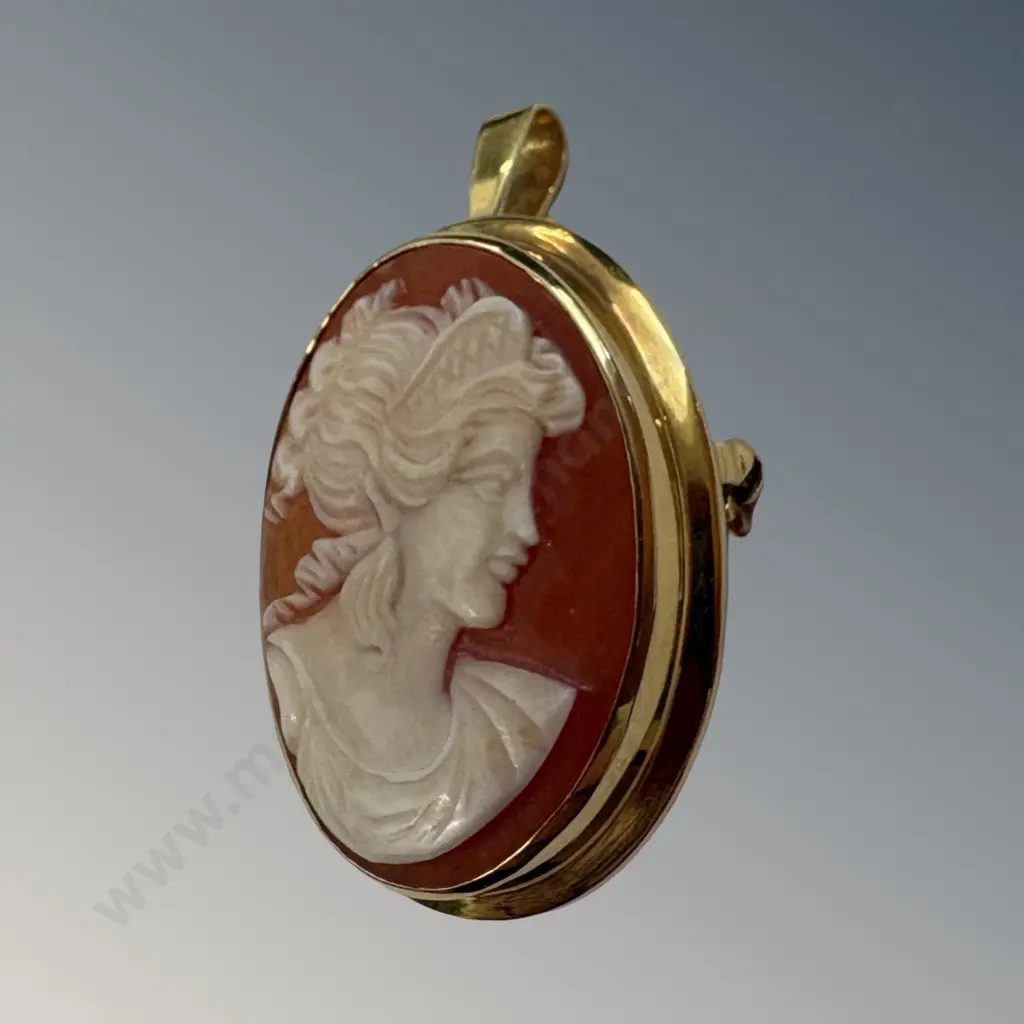18ct Gold Cameo Pendant L4cm, TW9.77gms Image 1++