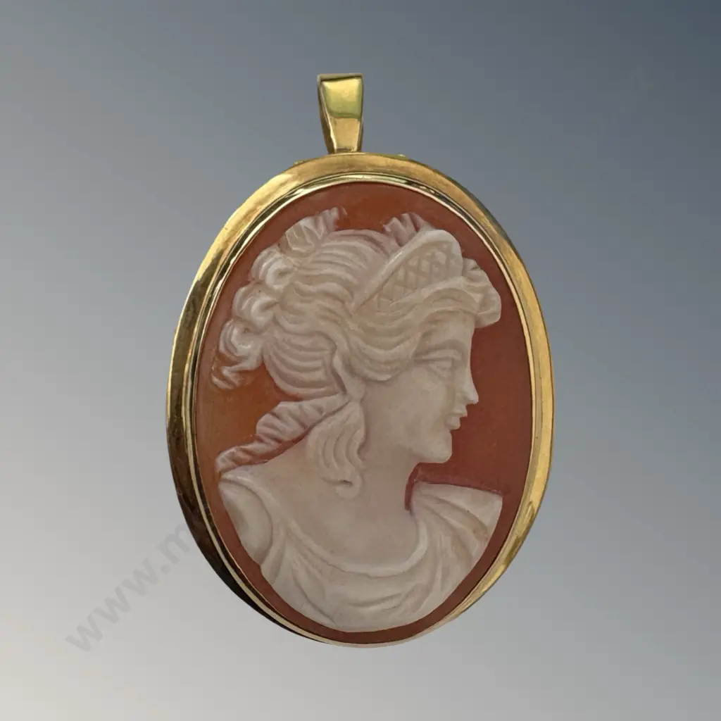 18ct Gold Cameo Pendant L4cm, TW9.77gms Image 1++