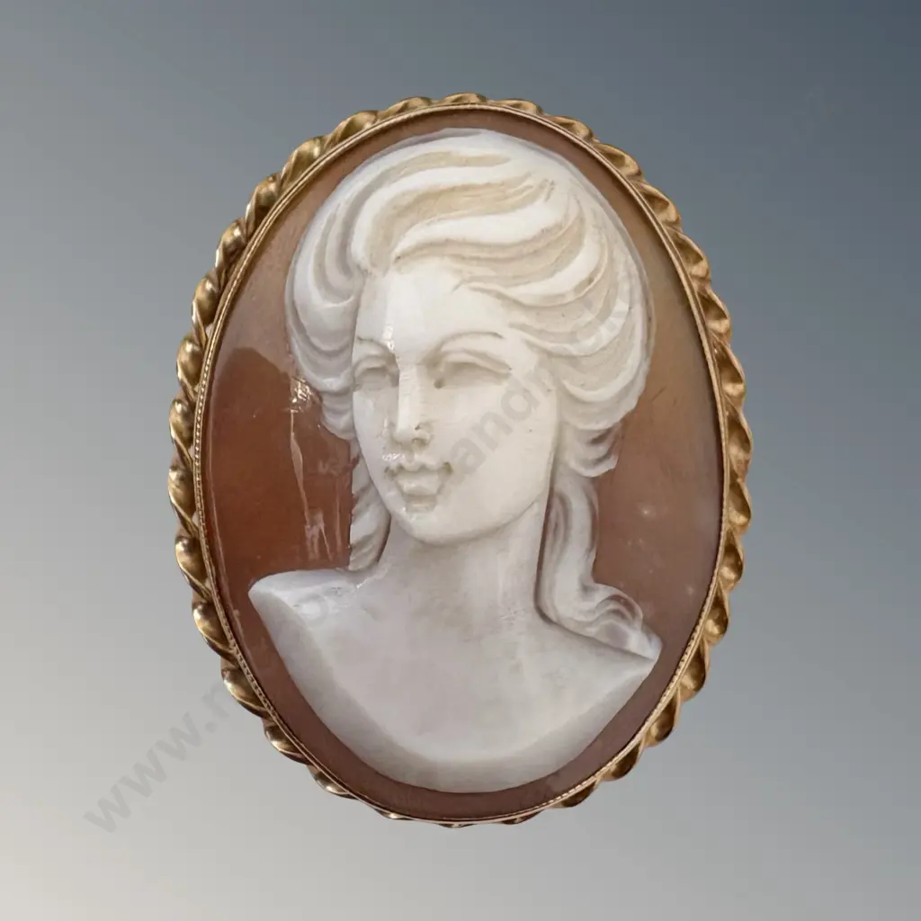 9ct Gold Cameo Brooch L3.8cm, TW9.84gms Image 1++