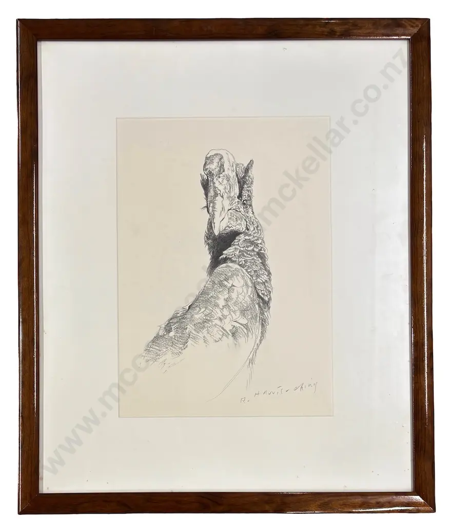 Raymond Ching - Bird Study, graphite on paper, 370x260mm Image 1++