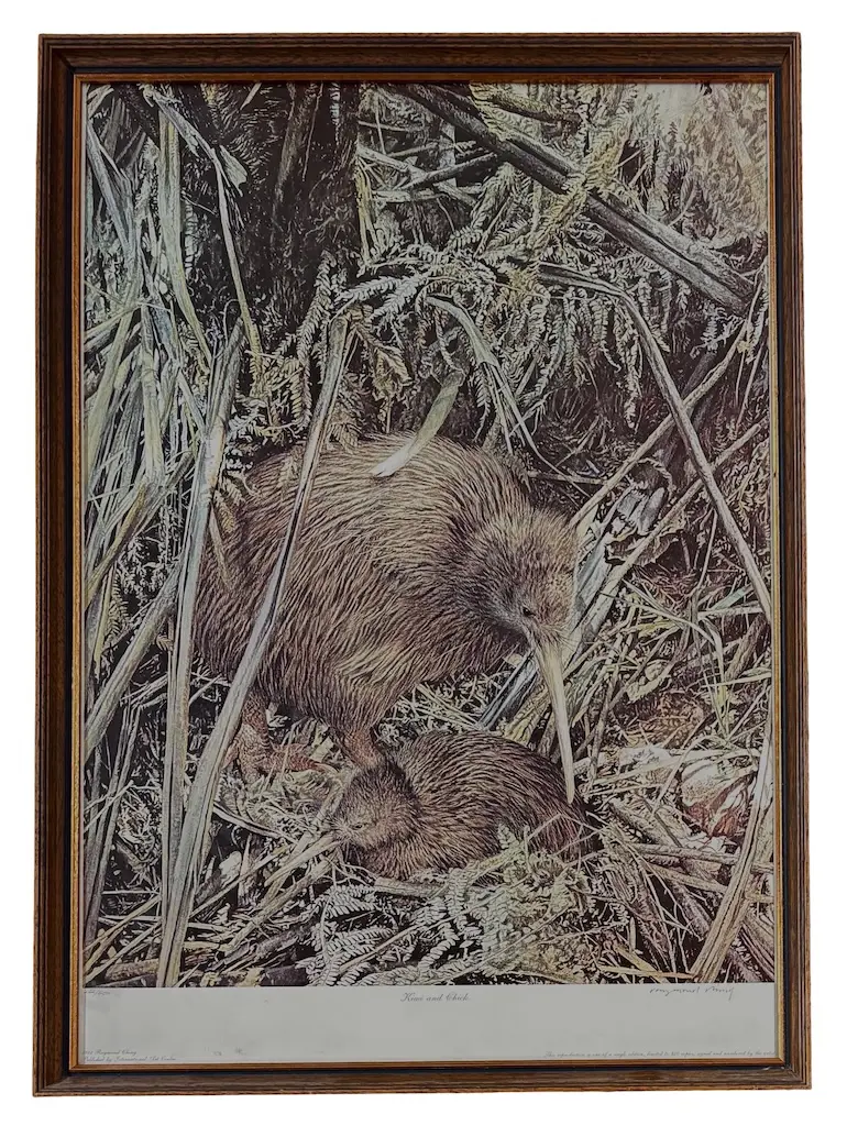 Raymond Ching - Kiwi & Chick, signed and numbered print 262/800, 700x480mm Image 1++