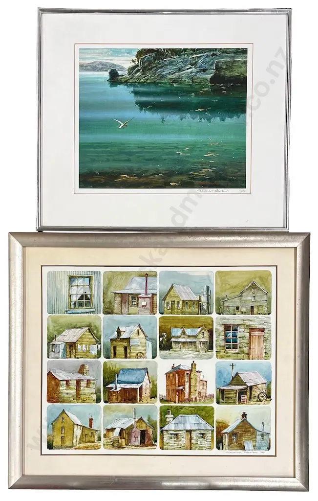 Garrick Tremain - Seabird, Stewart Island ltd ed. print 9/10, 370x430mm & Grid of Cottages, print 490x610mm  Image 1++