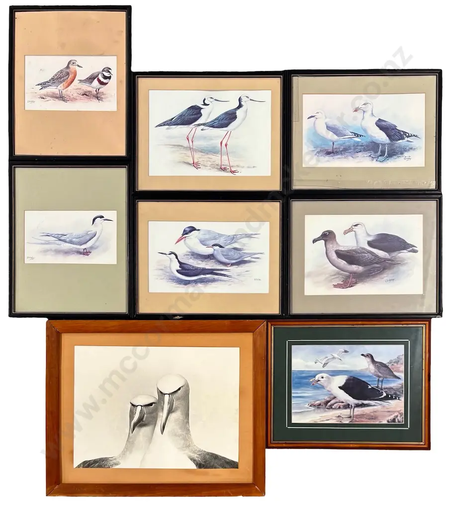 Collection of Framed Bird Prints (8) Image 1++