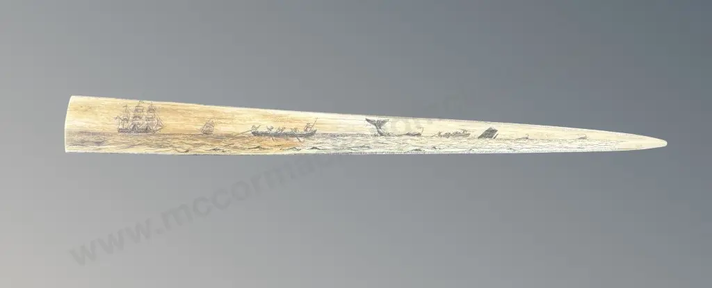 Scrimshaw Swordfish Bill with Engraved Sailing Ships and Whales, L68cm Image 1++
