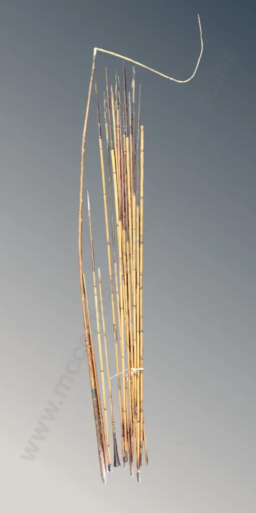 Collection of Traditional Fighting Arrows, Spears, etc Image 1++