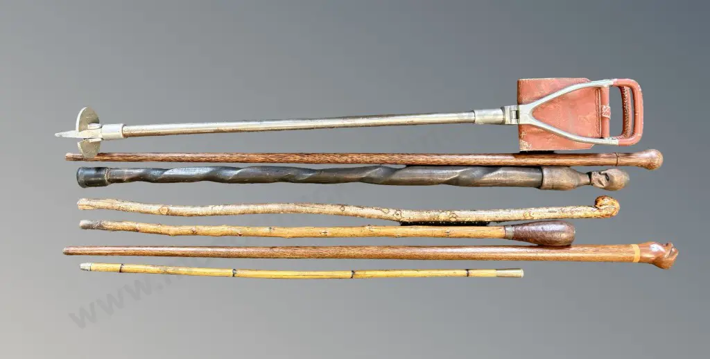 Collection of Carved Wooden Swagger Sticks and Shooting Stick Image 1++
