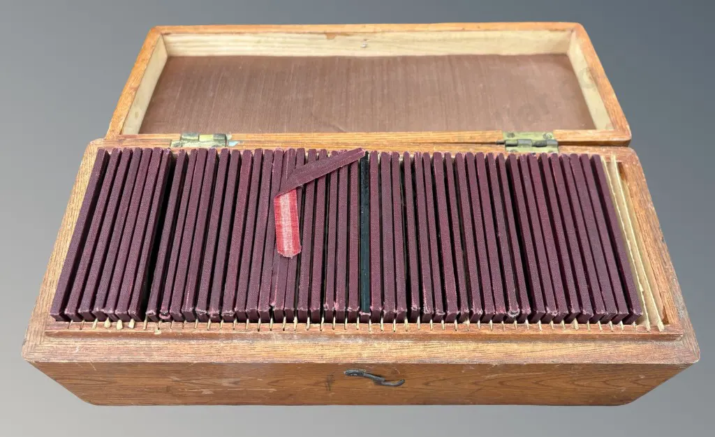 Oak Wooden Box with Glass Slides of Japanese Scenes and Figures Image 1++