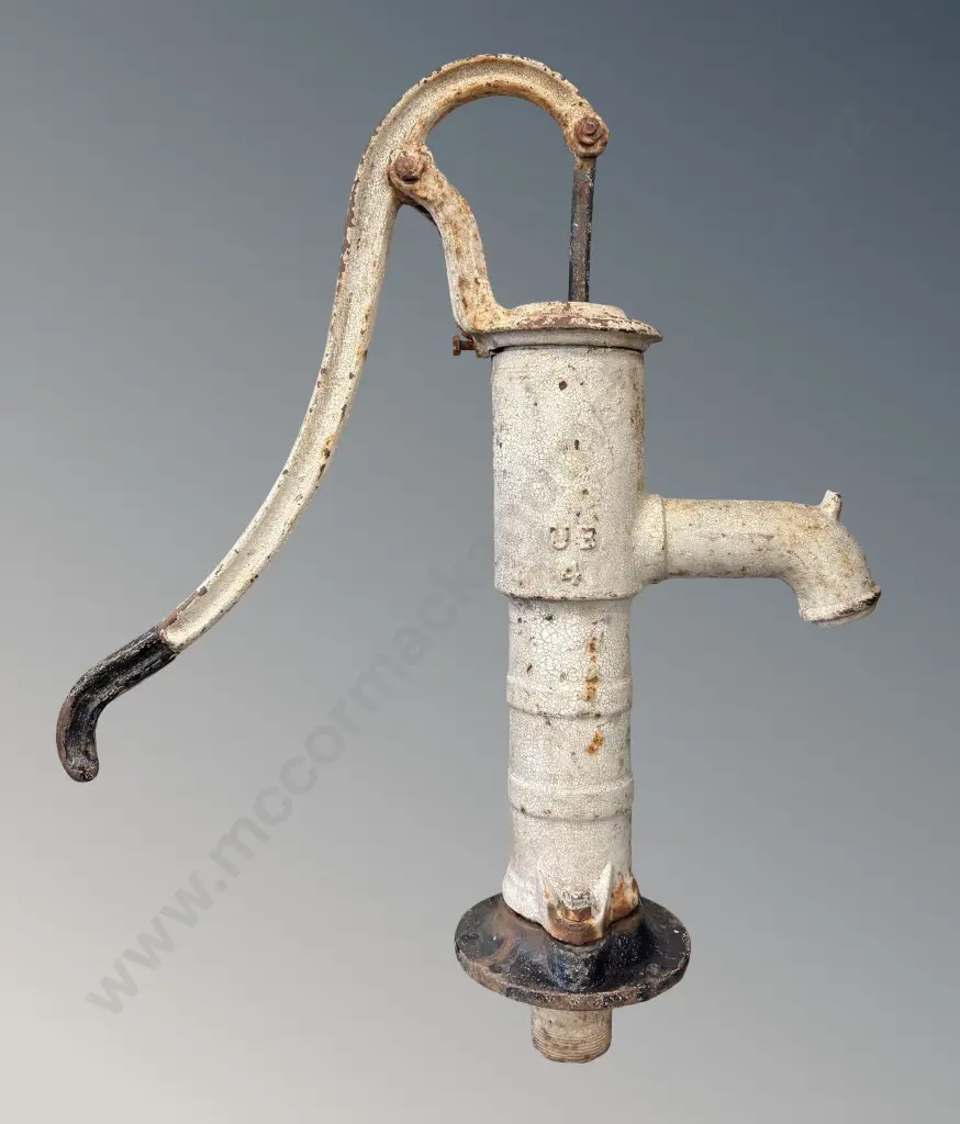 Cast Iron Pump Image 1++