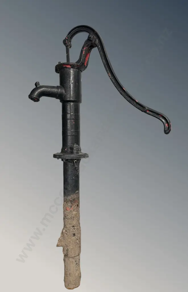 Cast Iron Water Pump Image 1++