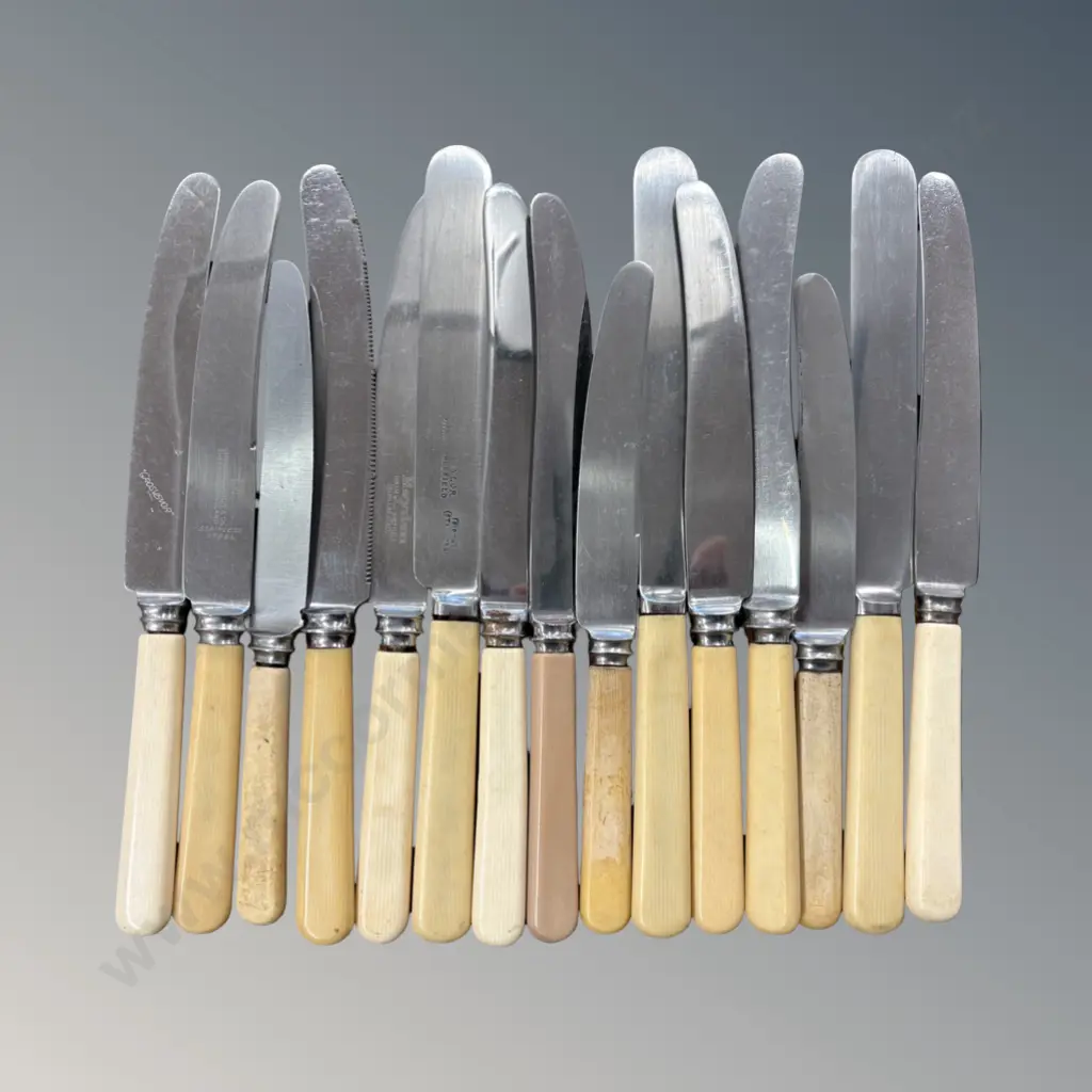 Collection of Bone Handled and Bakelite Knives (15) Image 1++
