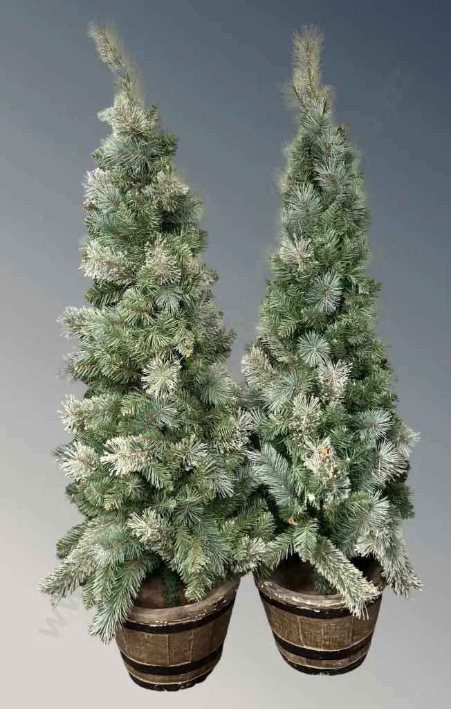 Pair of Faux Christmas Trees in Barrels H156cm Image 1++